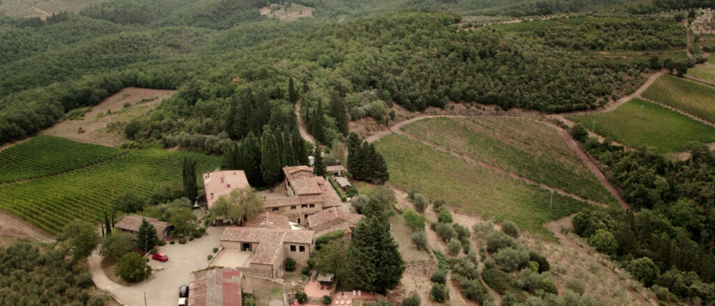 aerial view of quercia al poggio