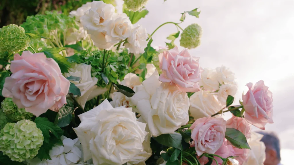 roses in a garden in tuscany